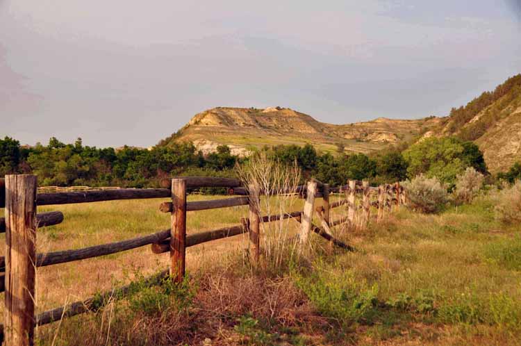 ranch fence